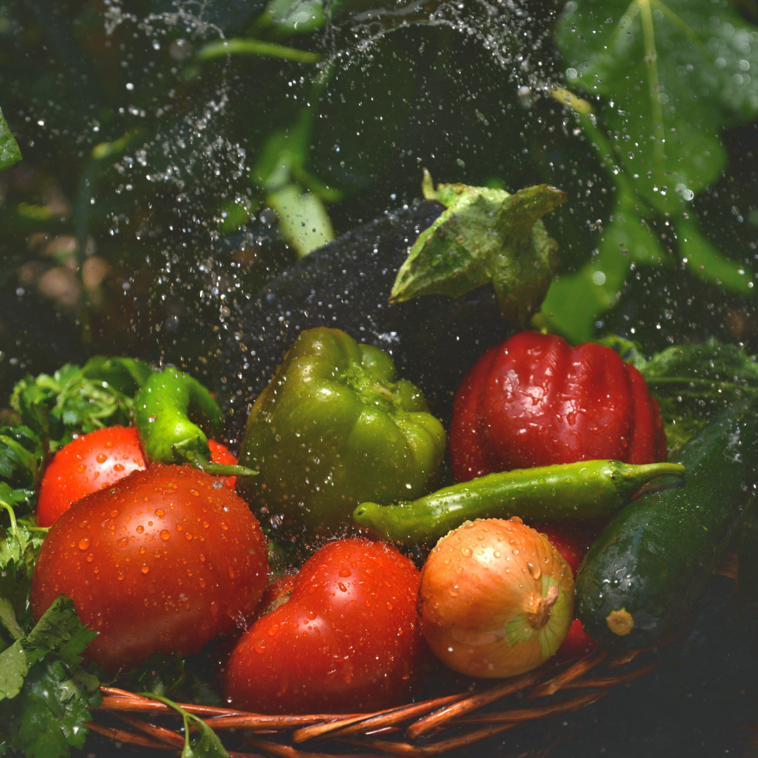 Savoring the Season: A Culinary Exploration of Edible Summer Plants
