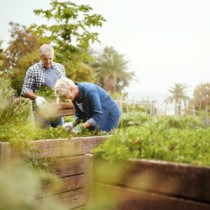 boost your garden health