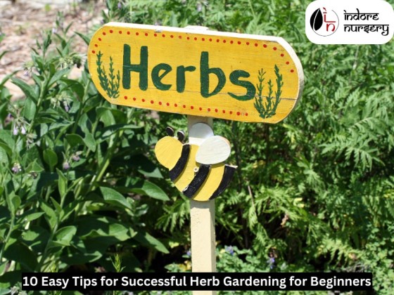 Tips for herb gardening