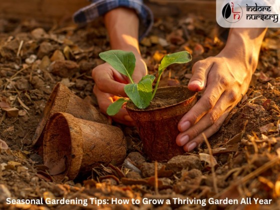 Seasonal Gardening Tips: How to Grow a Thriving Garden All Year