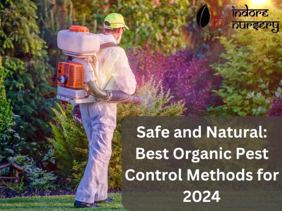 Safe and Natural: Best Organic Pest Control Methods for 2024