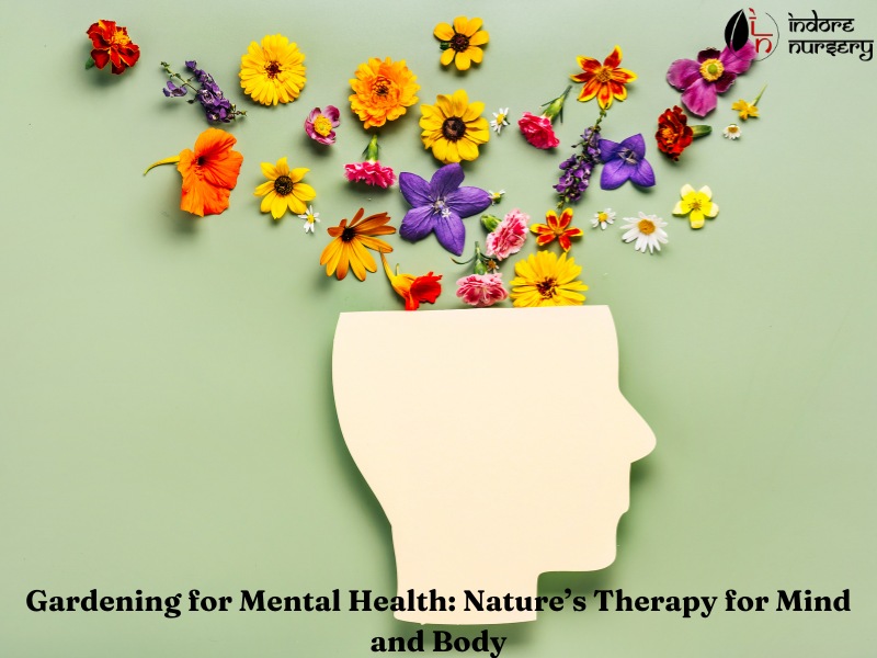 Gardening for Mental Health: Nature’s Therapy for Mind and Body