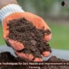 Proven Techniques for Soil Health