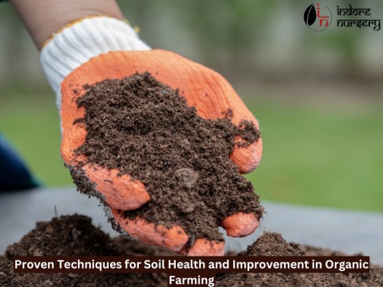 Proven Techniques for Soil Health