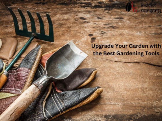 Upgrade Your Garden with the Best Gardening Tools