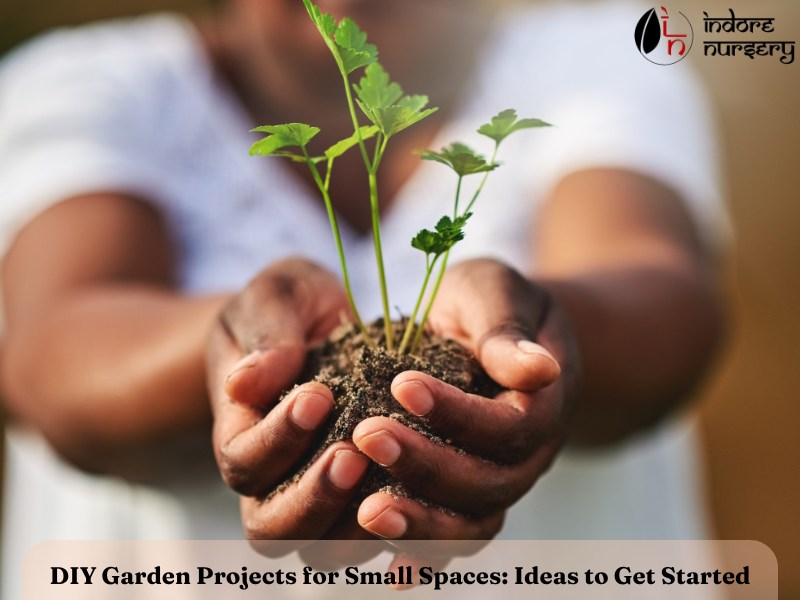 DIY Garden Projects for Small Spaces: Ideas to Get Started