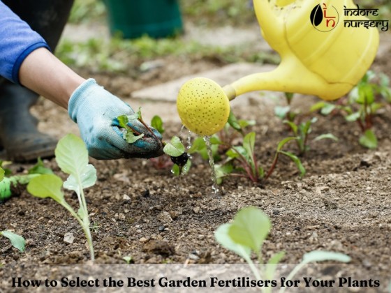 Best Garden Fertilisers