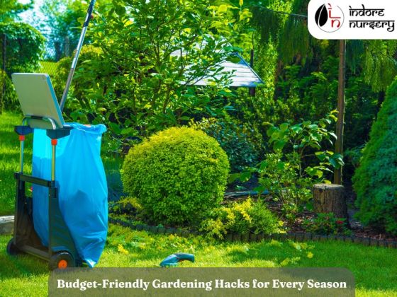 Budget-Friendly Gardening Hacks for Every Season