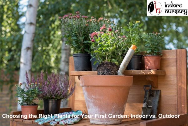 Choosing the right plants