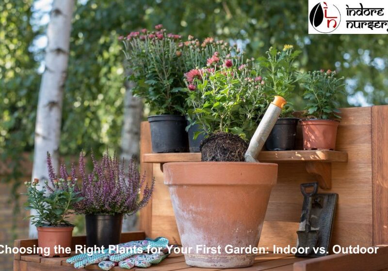 Choosing the right plants