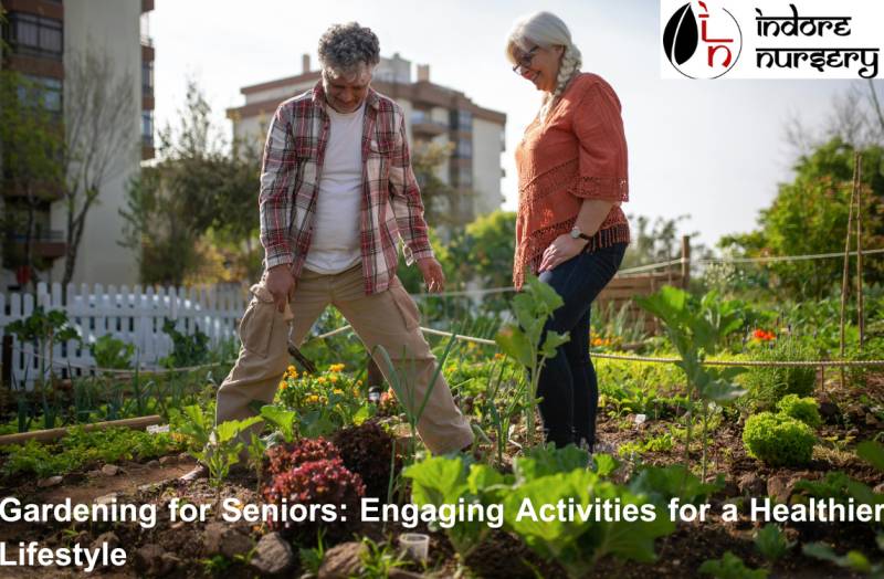 Gardening for Seniors