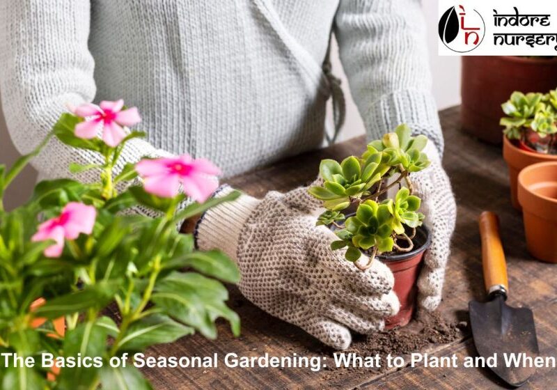 Seasonal Gardening Basics