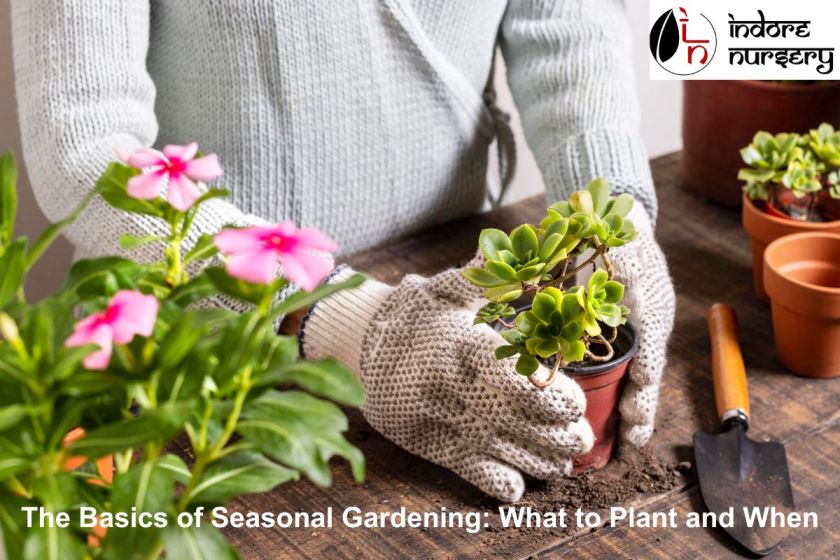 The Basics of Seasonal Gardening: What to Plant and When