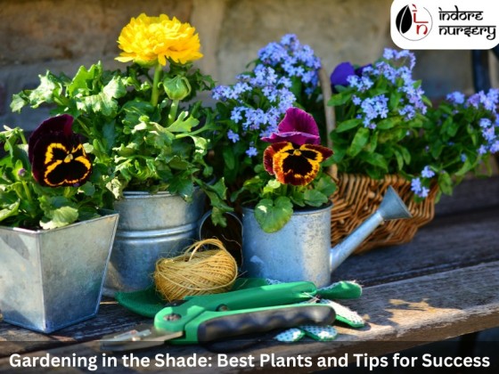 Gardening in the shade