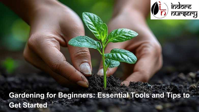 Gardening for beginners