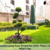 Top Landscaping Plant Trends for 2025: What's In and What's Out