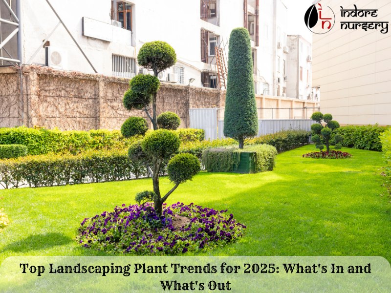 Top Landscaping Plant Trends for 2025: What's In and What's Out