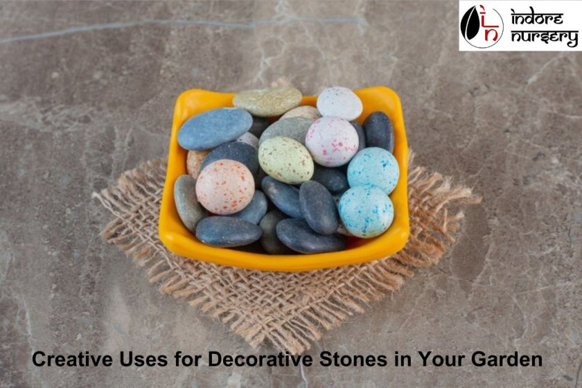 Creative Uses for Decorative Stones in Your Garden