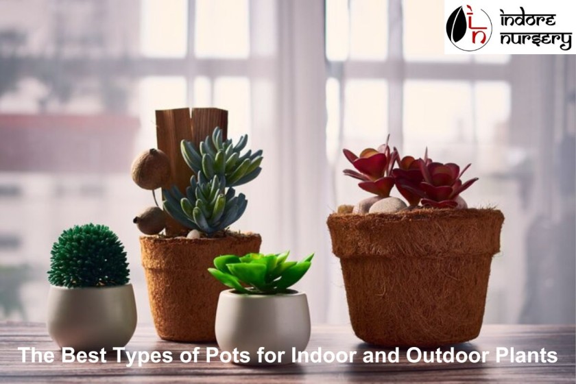 The Best Types of Pots for Indoor and Outdoor Plants