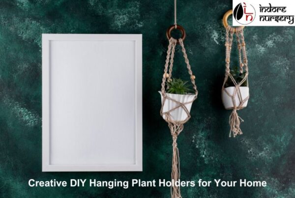 DIY Hanging Plant Holders