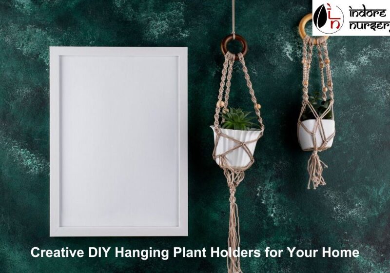 DIY Hanging Plant Holders