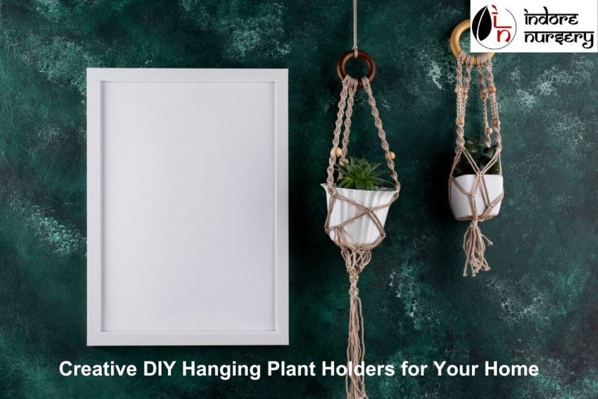 Creative DIY Hanging Plant Holders for Your Home