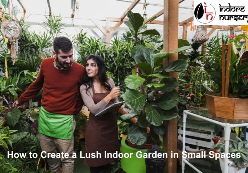 Lush Indoor Garden