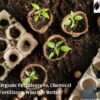 Organic Fertilizers vs. Chemical Fertilizers