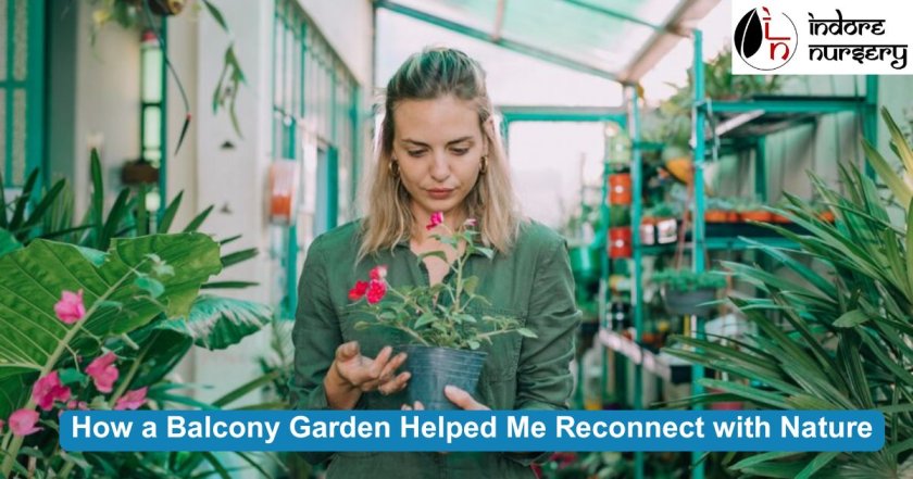 How a Balcony Garden Helped Me Reconnect with Nature