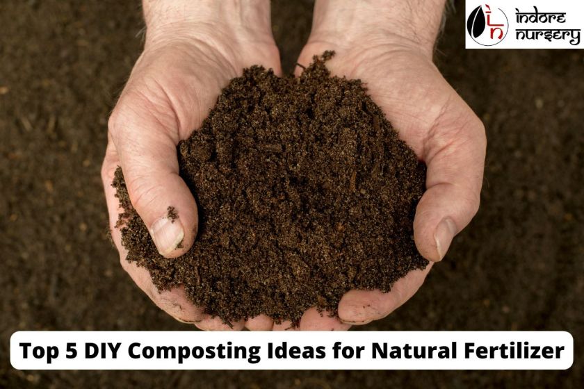 Top 5 DIY Composting Ideas for Natural Fertilizer