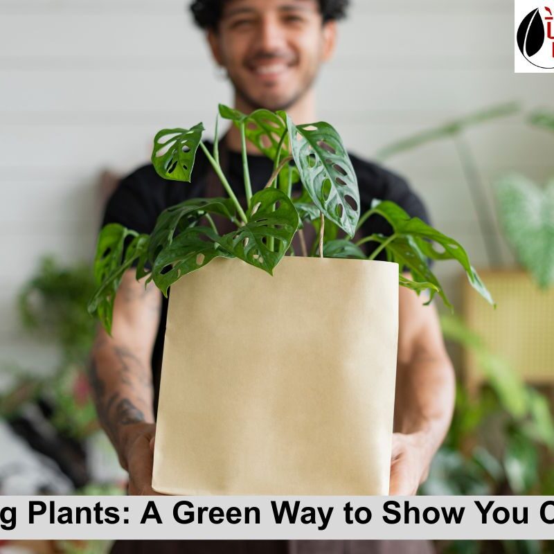 Gifting Plants