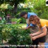 Landscaping Plants