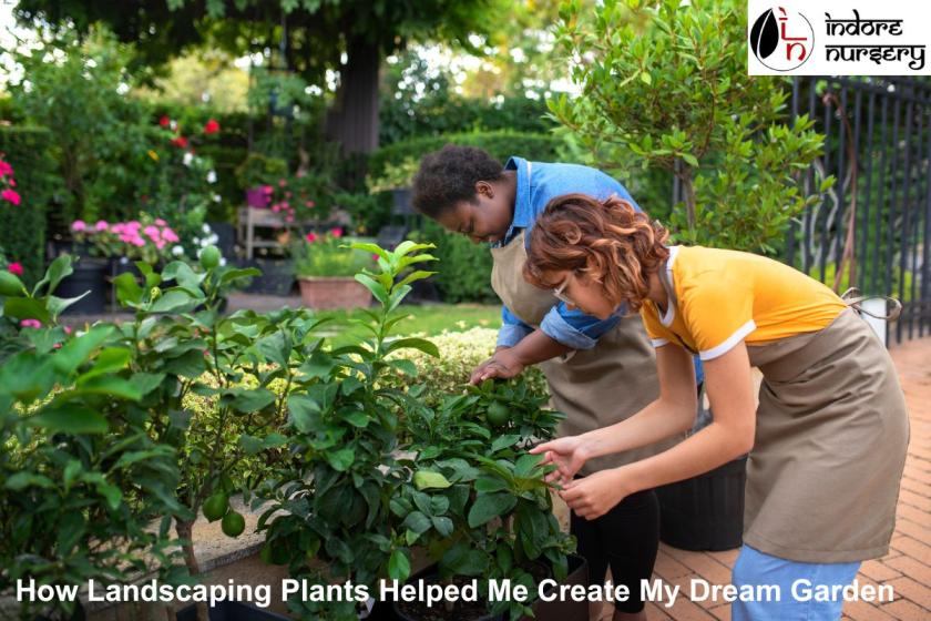 How Landscaping Plants Helped Me Create My Dream Garden