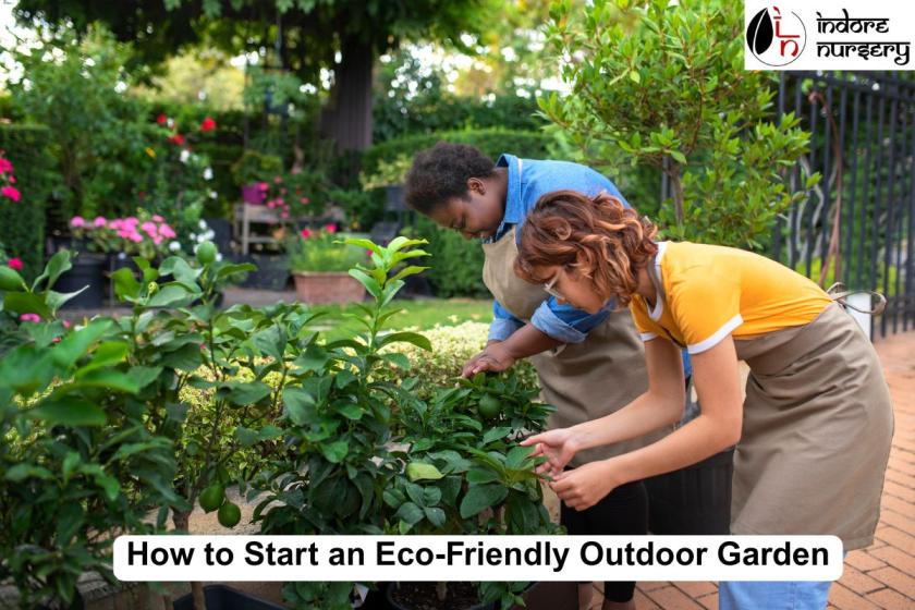 How to Start an Eco-Friendly Outdoor Garden