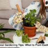 seasonal gardening tips
