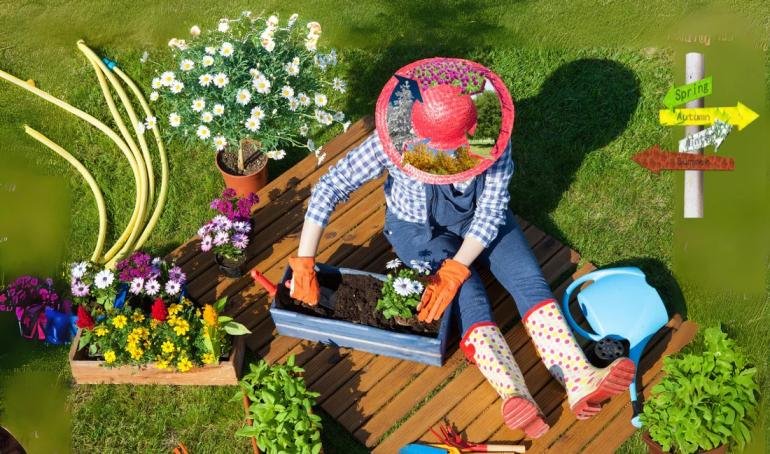 Seasonal Gardening Tips for Every Month of the Year