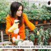 outdoor plant diseases
