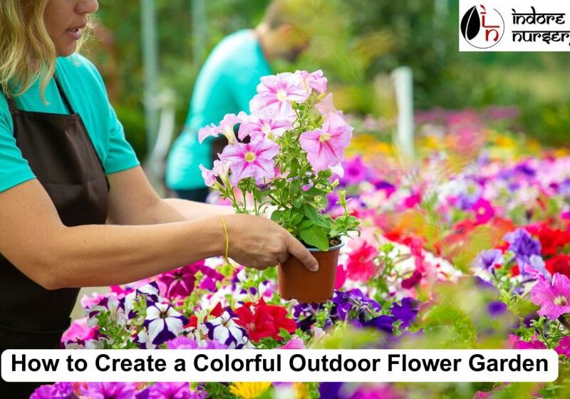 Outdoor Flower Garden