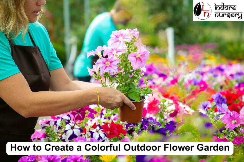 How to Create a Colorful Outdoor Flower Garden