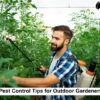 Pest Control Tips