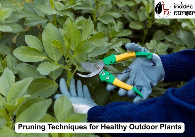 Pruning Techniques
