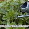 rainwater harvesting