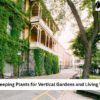 Best Creeping Plants