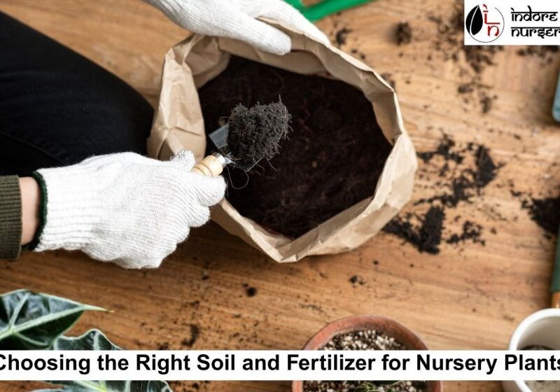 Soil and Fertilizer