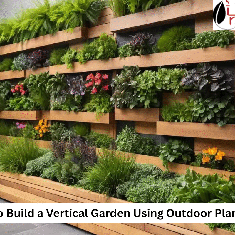 Vertical Garden