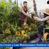 Low-Maintenance Outdoor Garden