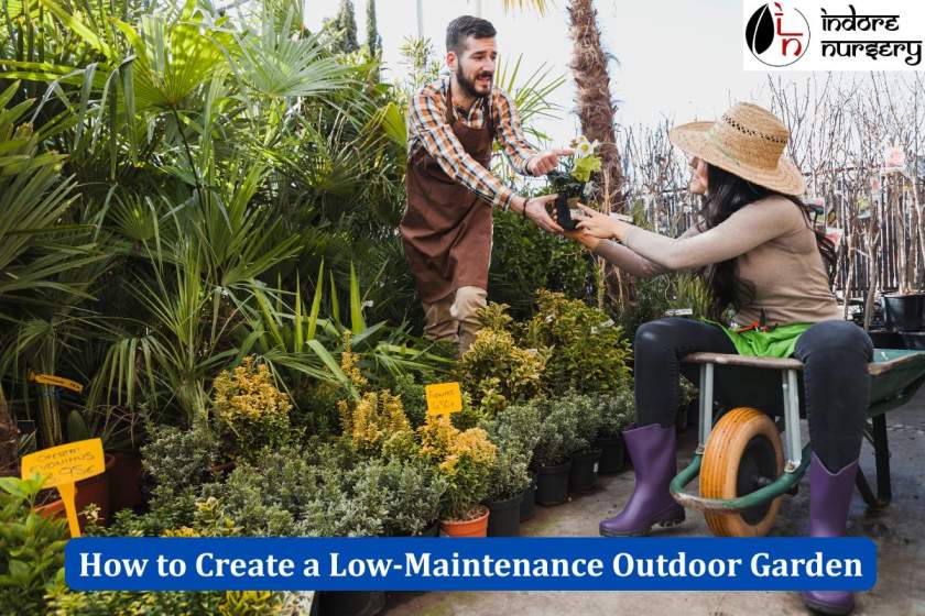 How to Create a Low-Maintenance Outdoor Garden