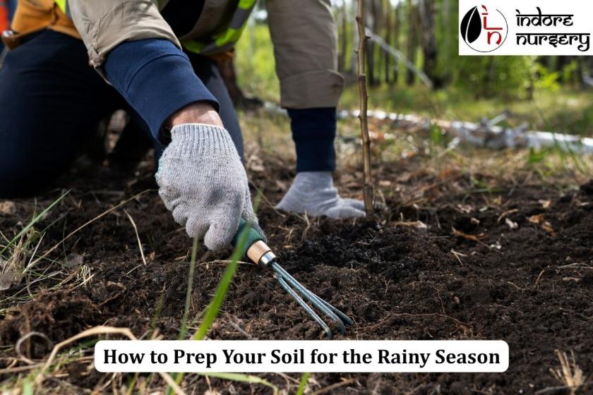 How to Prep Your Soil for the Rainy Season