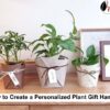 Personalized Plant Gift Hamper