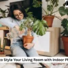 Indoor Plants